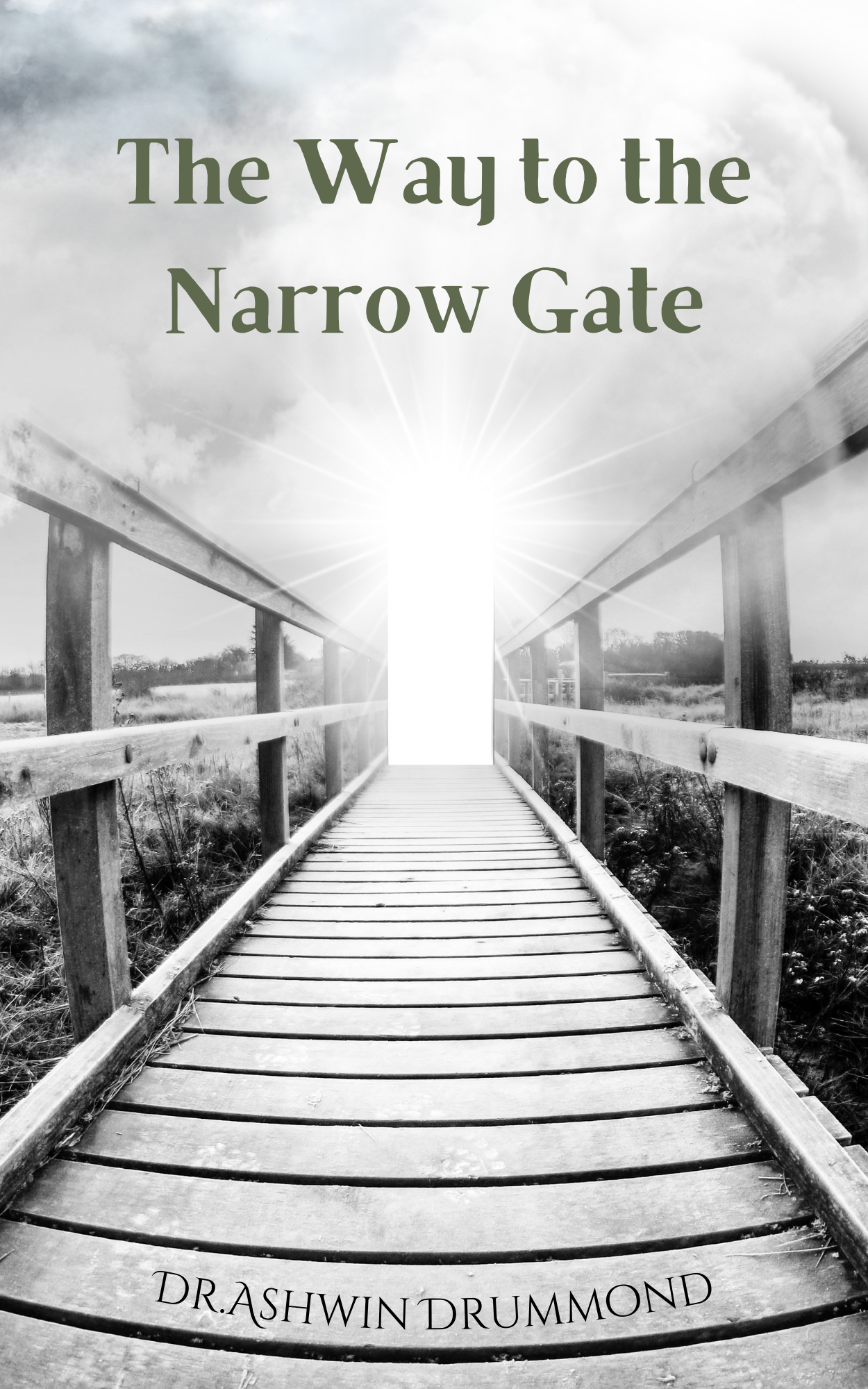 The Way to the Narrow Gate 