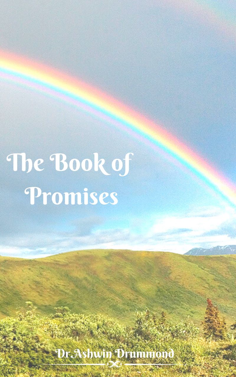 The Book Of Promises
